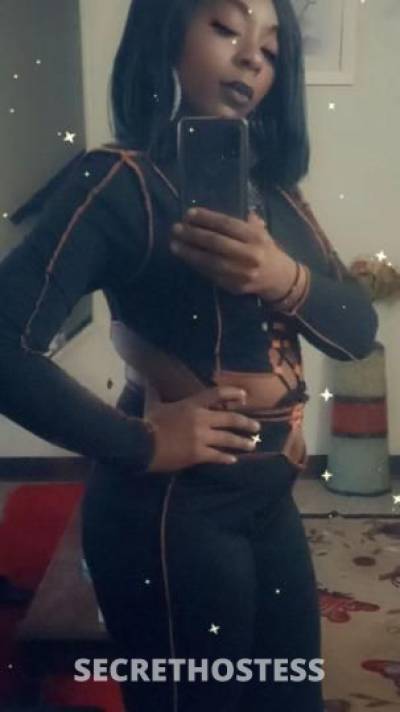 Angel 33Yrs Old Escort Toledo OH Image - 7