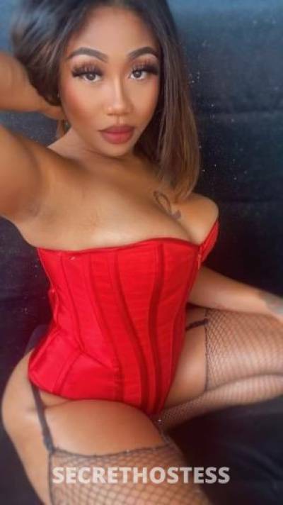 Asiia 22Yrs Old Escort Austin TX Image - 4