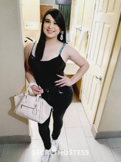 28 year old Escort in McAllen TX hi guys! trans looking to make u satisfy your needs!!!s here