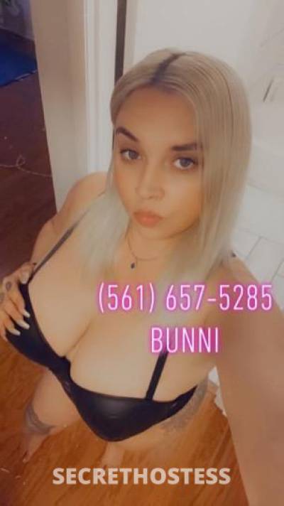 PalmBeachbunni 28Yrs Old Escort Knoxville TN Image - 2