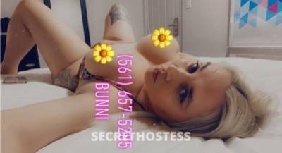 PalmBeachbunni 28Yrs Old Escort Knoxville TN Image - 9