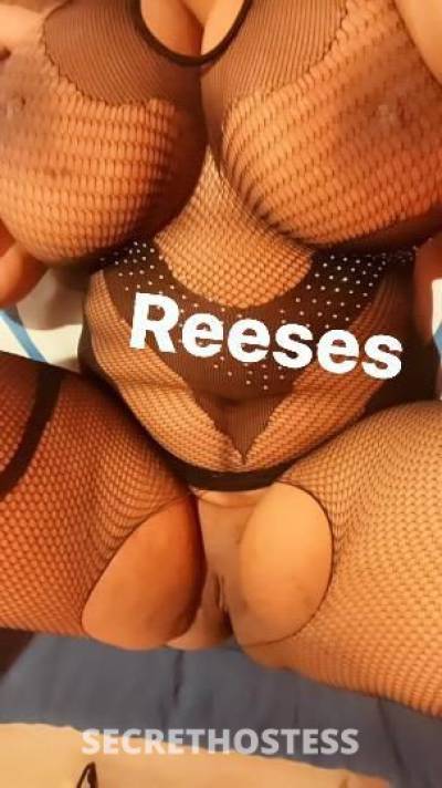 Reeses 29Yrs Old Escort Houston TX Image - 3