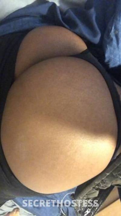 Rose? 21Yrs Old Escort Philadelphia PA Image - 5
