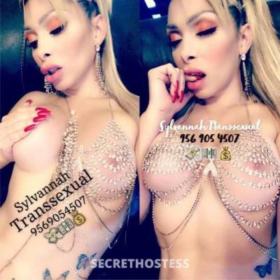 Sylvannah 25Yrs Old Escort McAllen TX Image - 1