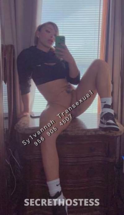 Sylvannah 25Yrs Old Escort McAllen TX Image - 2