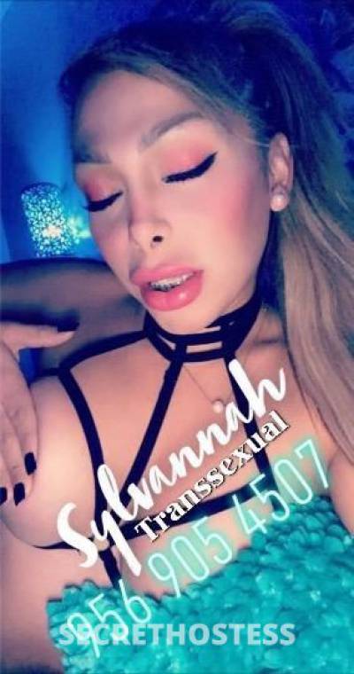 Sylvannah 25Yrs Old Escort McAllen TX Image - 10