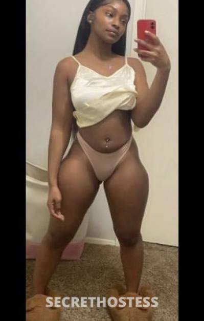 24 year old Escort in West Palm Beach FL Sexy cinnamon