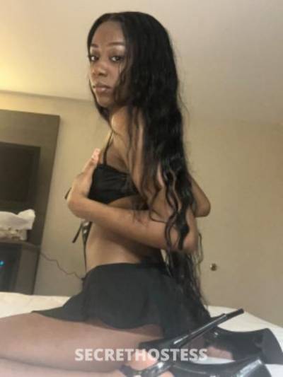 24Yrs Old Escort Long Island NY Image - 1