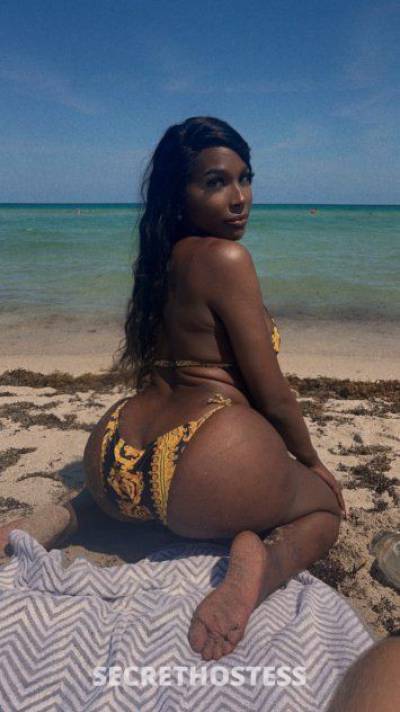 25 year old American Escort in Minneapolis / St. Paul MN 100% real.✨pretty p***sy wet girl.✨safe. .legit✨.