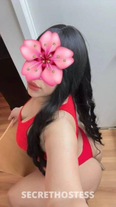 30 year old Latino Escort in Dallas TX sexi latina real