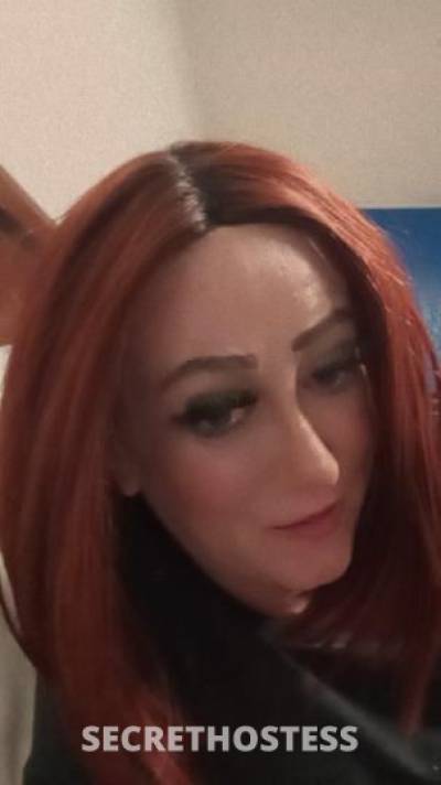 36 year old Escort in Memphis TN 75 3 hole specials for qv incall only make my fat cat squirt