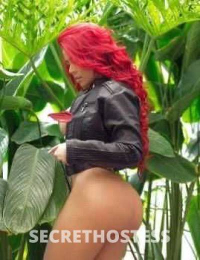 Mia 23Yrs Old Escort Houston TX Image - 5