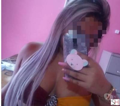 22Yrs Old Escort Mato Grosso do Sul Image - 2