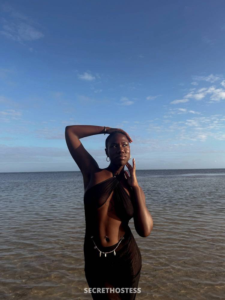 +17189058826 Gina Joseph: Escort Miami FL, Transsexual