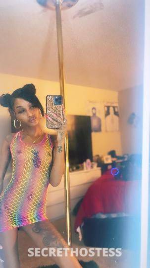 Kimora 24Yrs Old Escort San Diego CA Image - 0