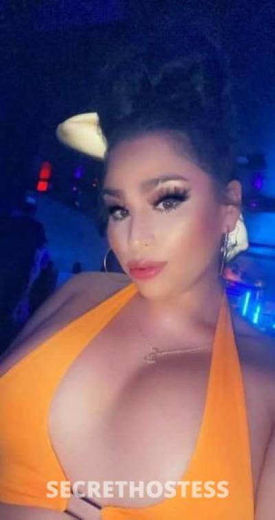 26 year old Escort in San Diego CA .✔.lets fuck daddy.incall.outcall.carfun✨availble 24/7
