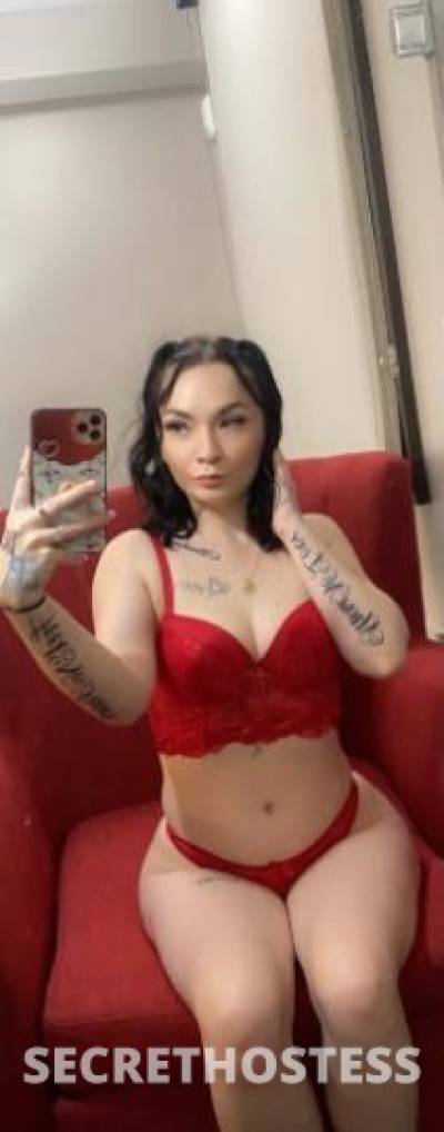 Ashley 22Yrs Old Escort North Bay CA Image - 0