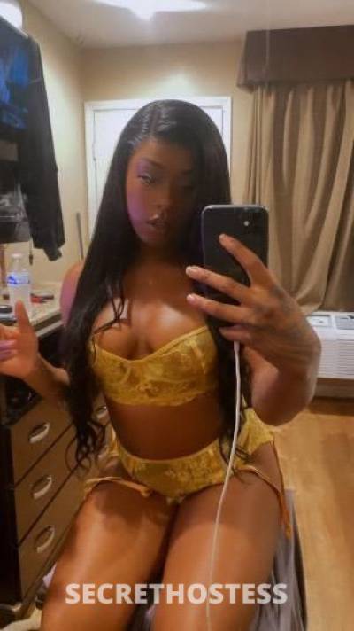 Chocolatespice 23Yrs Old Escort San Diego CA Image - 1