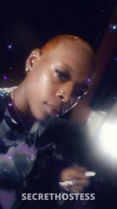 Coco 29Yrs Old Escort Miami FL Image - 2