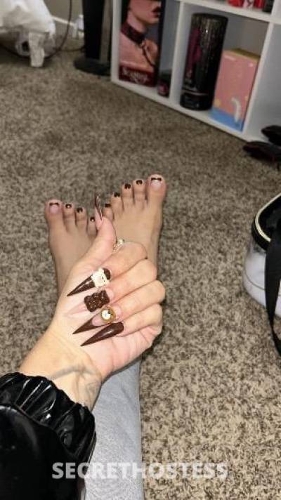 25 year old Latino Escort in Santa Maria CA ... NEW NEW ... LATINAS get the WETTEST