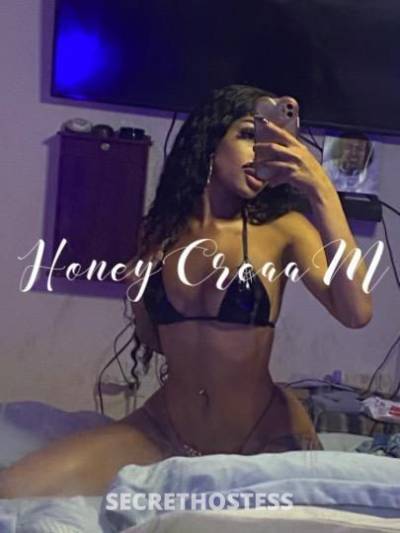 🍯HoneyCreaa〽️🍨 24Yrs Old Escort Tacoma WA Image - 0