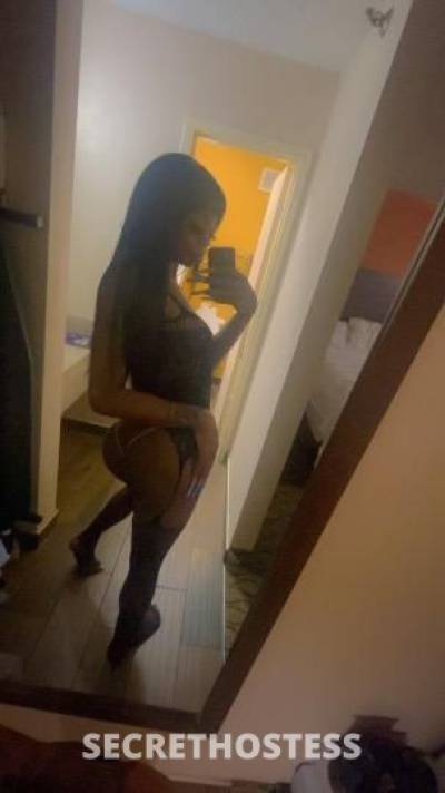 🌸SASHA🌸 27Yrs Old Escort 175CM Tall Grand Rapids MI Image - 1