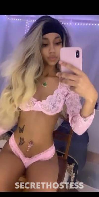 22 Year Old Brazilian Escort Boston MA - Image 3