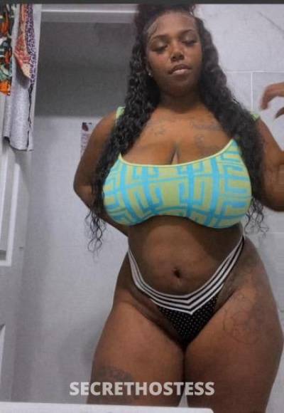 27 Year Old French Escort Miami FL - Image 2