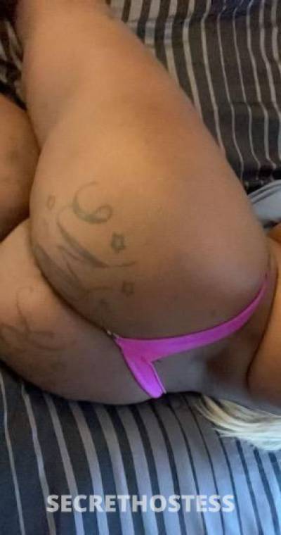 27 Year Old French Escort Miami FL - Image 3