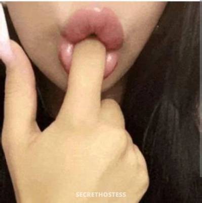 33 year old Escort in Perth Let me show you how your cock should be sucked