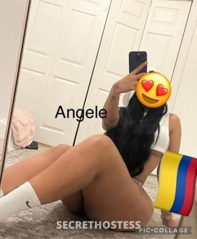 Angele 25Yrs Old Escort Manhattan NY Image - 1