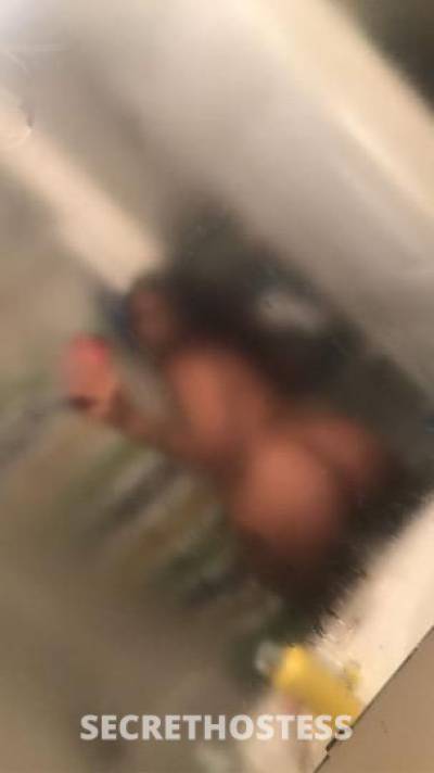 Bubbles 23Yrs Old Escort Tampa FL Image - 0