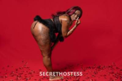 ChocolateDiamond 25Yrs Old Escort Clarksville TN Image - 0