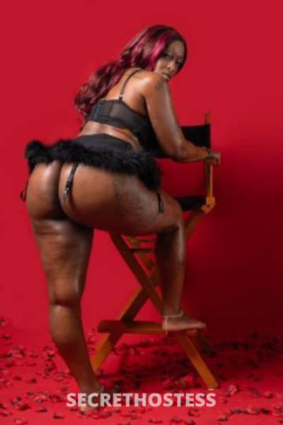 ChocolateDiamond 25Yrs Old Escort Clarksville TN Image - 2