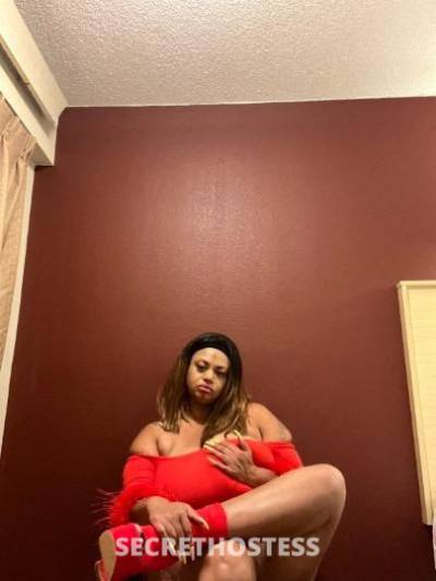 Coconut 25Yrs Old Escort Saint Louis MO Image - 2