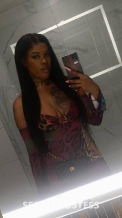 Honey 29Yrs Old Escort North Mississippi MS Image - 0