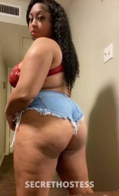 Ice 23Yrs Old Escort Springfield IL Image - 1