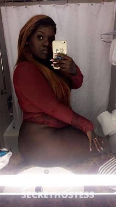 Star 28Yrs Old Escort Orlando FL Image - 0