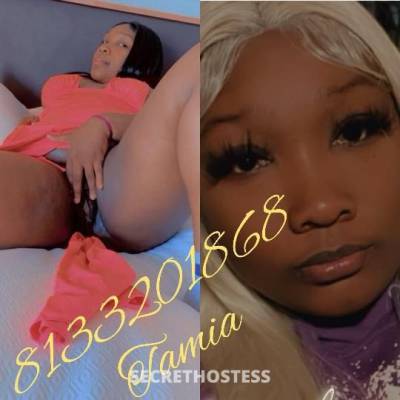 Tamia 26Yrs Old Escort North Jersey NJ Image - 0