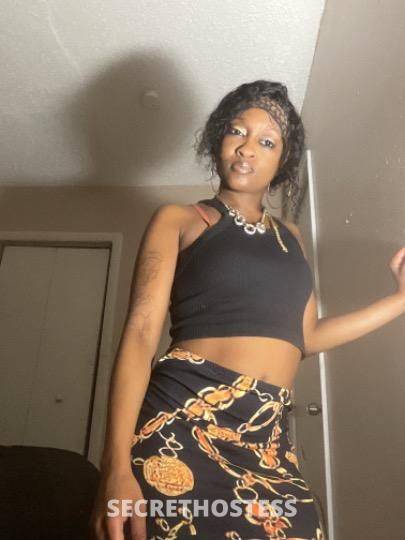 22Yrs Old Escort Fort Lauderdale FL Image - 0