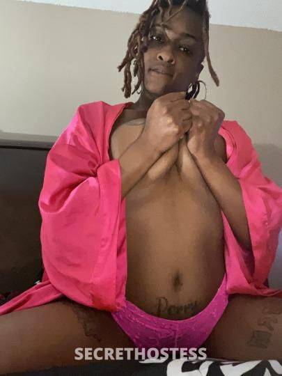 22Yrs Old Escort Fort Lauderdale FL Image - 3