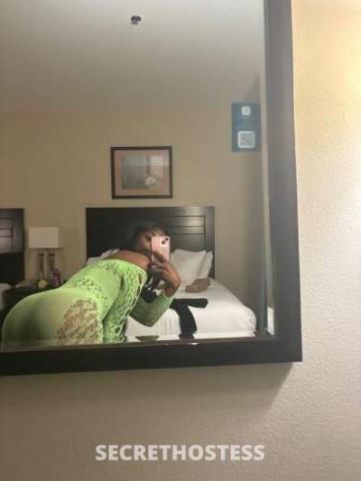 20Yrs Old Escort San Antonio TX Image - 3