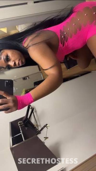 21Yrs Old Escort Dallas TX Image - 3