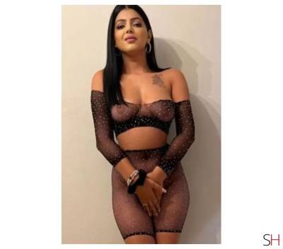 23Yrs Old Escort Size 14 Belfast Image - 4