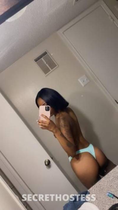 24Yrs Old Escort Dallas TX Image - 1