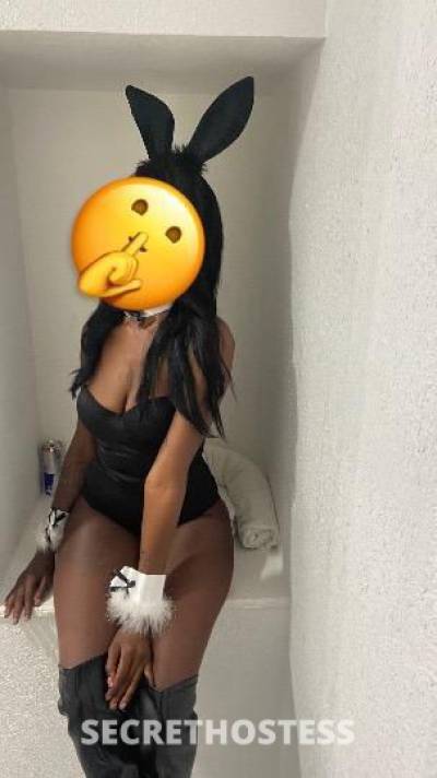 24Yrs Old Escort Houston TX Image - 1