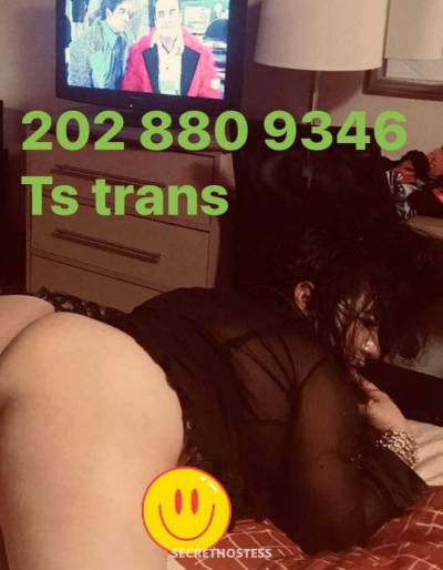 26Yrs Old Escort Northern Virginia Image - 3