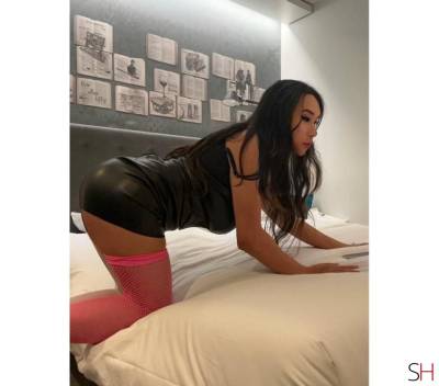 26 year old Thai Escort in Dublin Dublin TR ANS GoodMassge TS