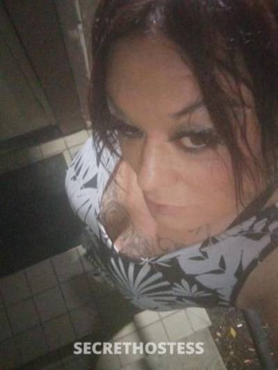 34Yrs Old Escort Seattle WA Image - 3