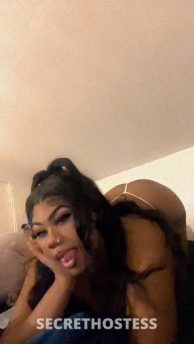 23 year old Escort in Seattle WA cream queen